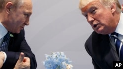 Трамп пен Путин 2017 жылғы 7 шілдеде өткен "Үлкен жиырмалық" саммитінде. Гамбург, Германия.